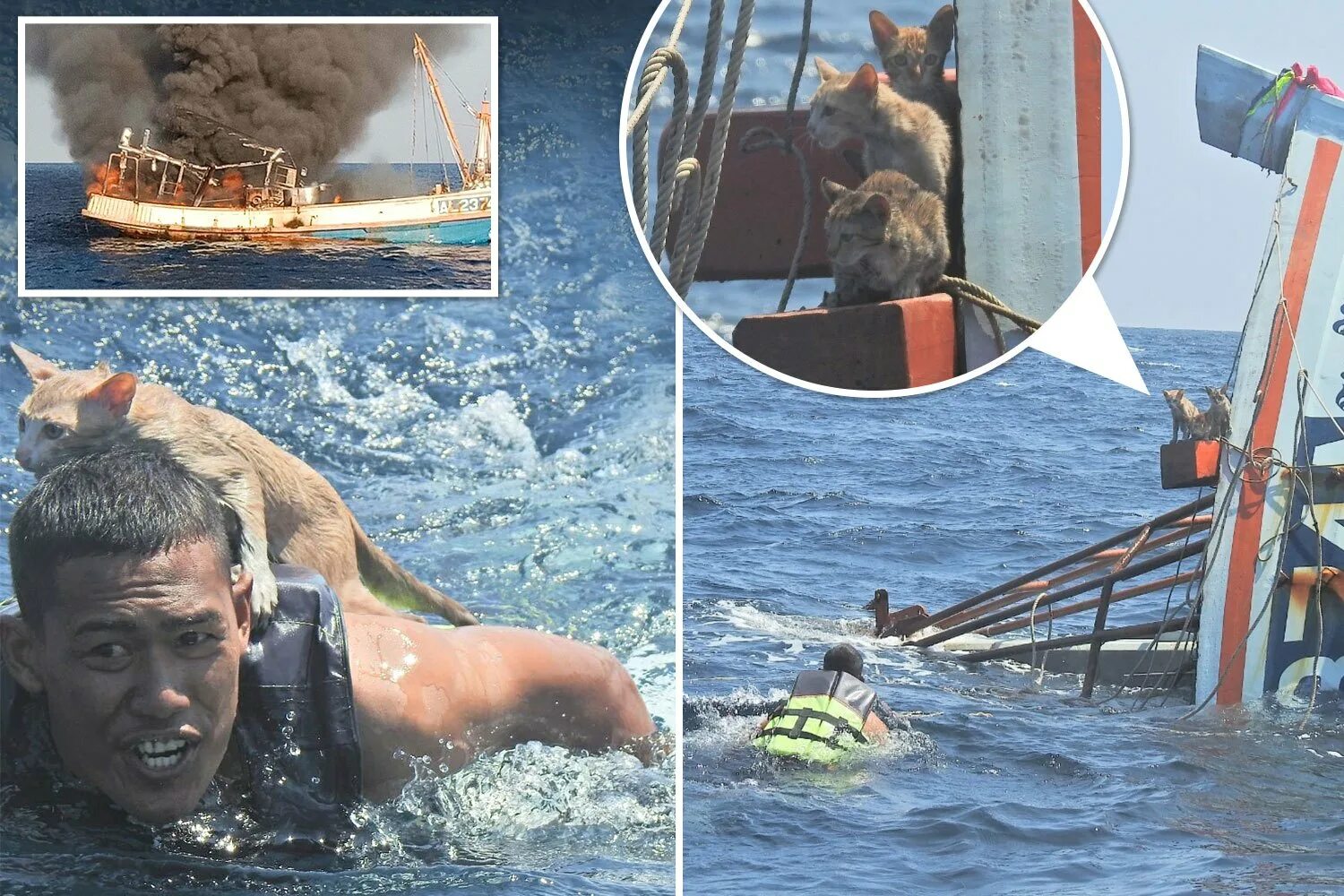 4 на 4 спасение. Спасение моряков. корабль спасения. спасение тонущего судна. люди спасаются с корабля.
