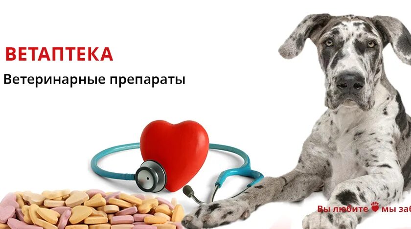 Ветпрепараты для животных. Ветеринарные препараты. лекарства для животных. ветеринарные препараты для животных. ветеринар с лекарствами.