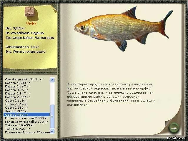 реальная рыбалка берш лесное озеро. реальная рыбалка орфа лесное. реальная рыбалка орфа лесное. мраморная форель реальная рыбалка. орфа реальная рыбалка лесное озеро.