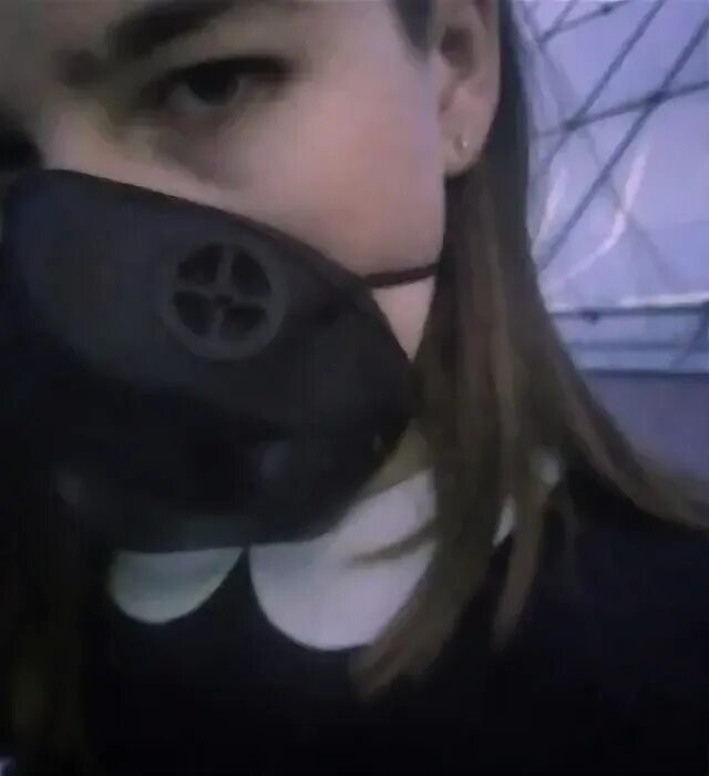 Лис витебск