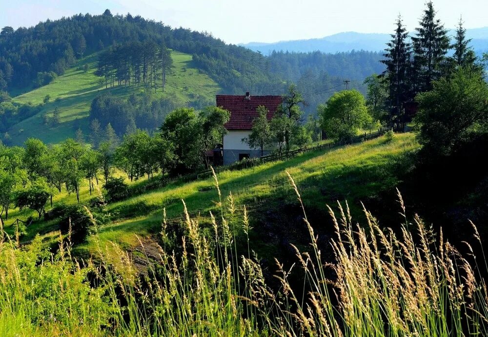 Златибор сербия. Курорт златибор сербия. Бизнес сербия златибор. Златибор сербия. Златый бор сербия курорт.