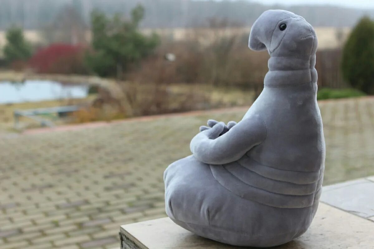 Н чего ждать