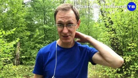 Войтенков мысли