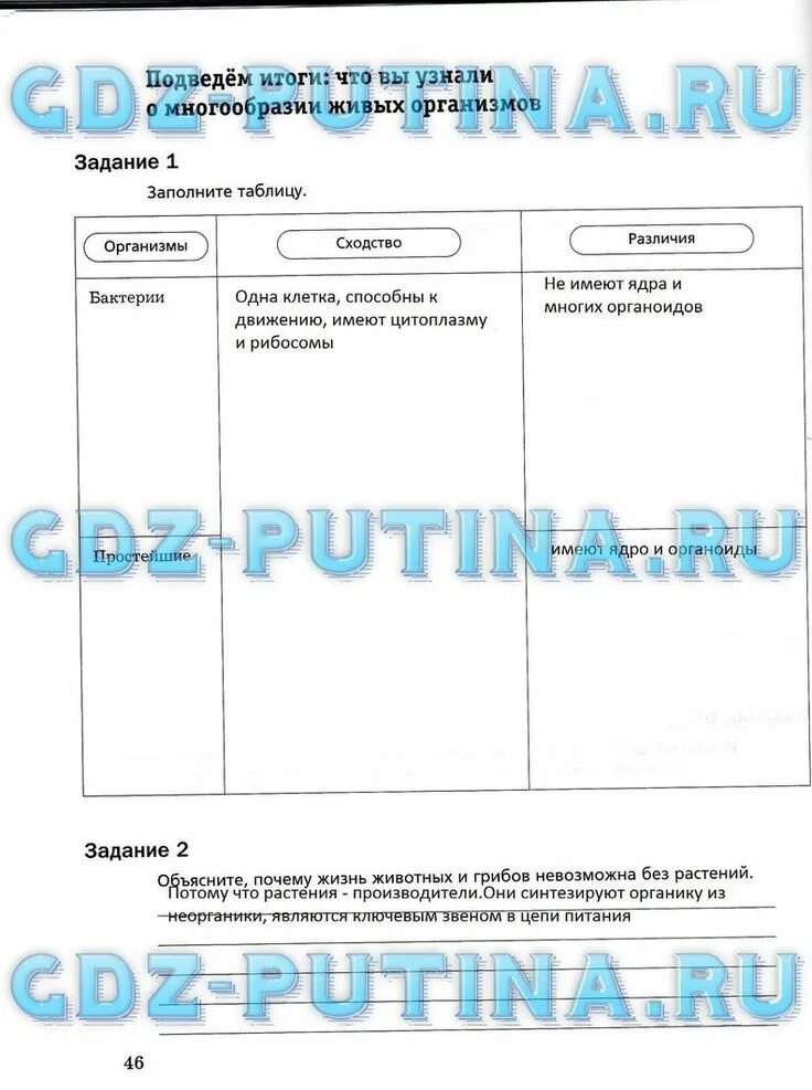 Заполни таблицу организмы бактерии сходства различия. Заполнить таблицу сходство простейших. Бактерии сходство и различия с простейшими таблица.