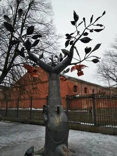 Дерево желаний в кронштадте