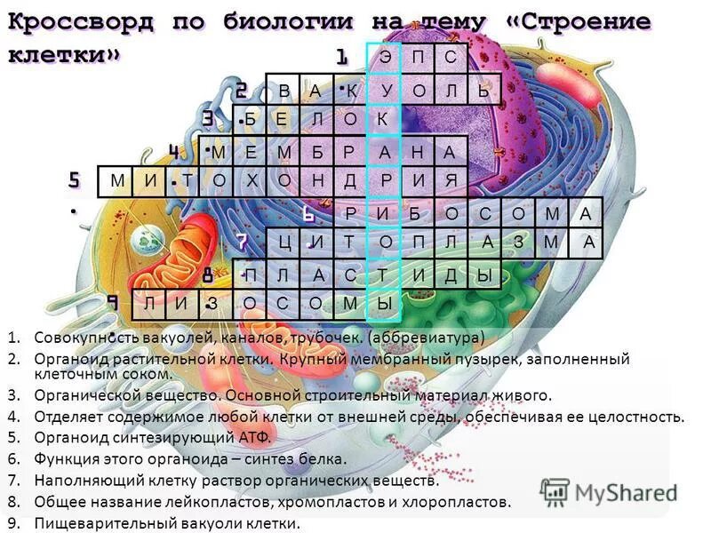Где в параграфе вы нашли эту информацию