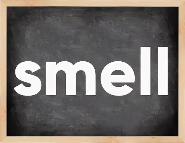 3rd form of the verb. Sting verb forms. Stative verbs в английском таблица. List of common verbs. Smell verb forms.