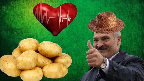 Лукашенко картошка