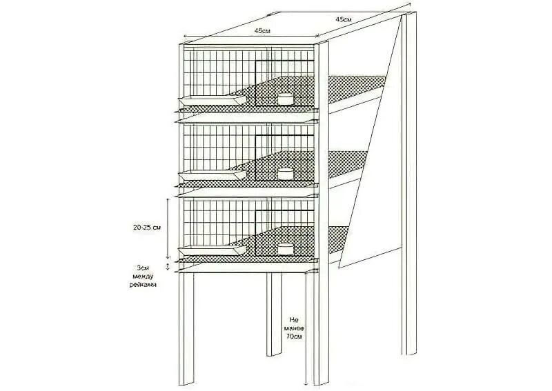 Клетка для перепелов чертеж. Клетка для бройлеров Размеры на 20. Клетка для бройлеров на 20 голов своими руками чертежи. Чертеж клетки для 5 бройлеров.