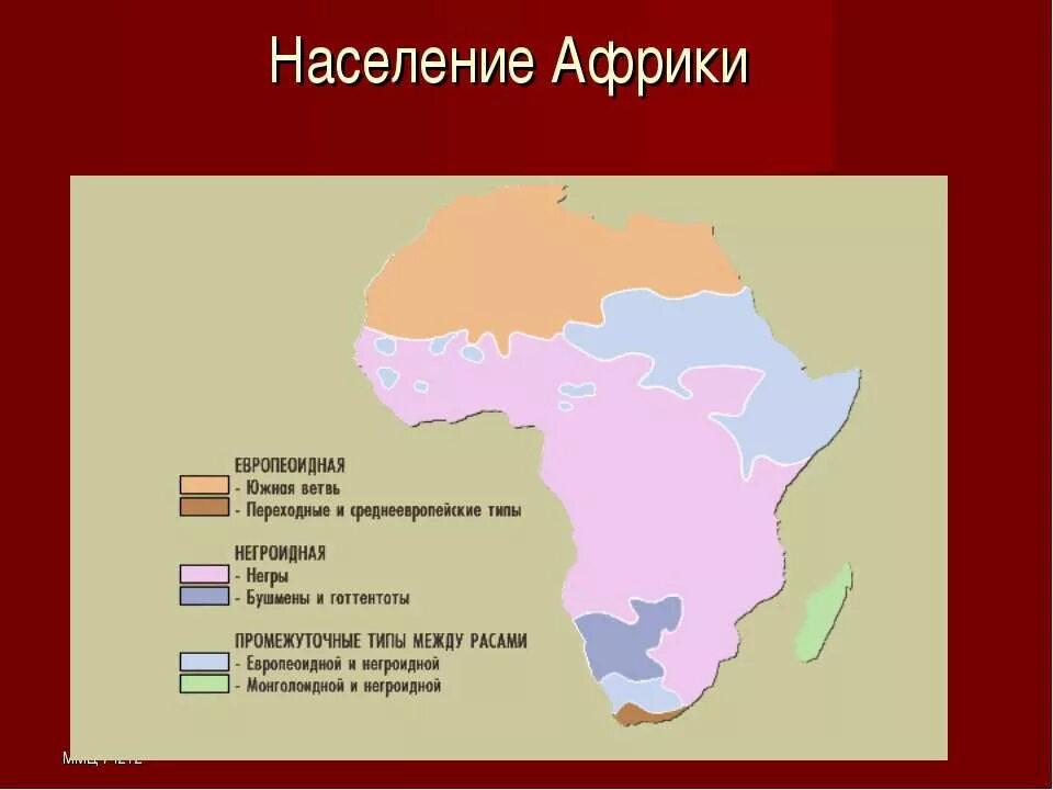 население африки. расы северной африки. народы населения территории африки. народы африки 7 класс география. численность населения африки.