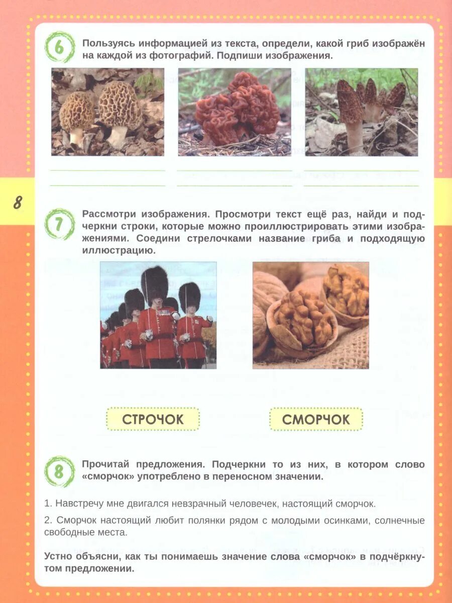 Беденко смысловое чтение тетрадь тренажер 3 класс ответы. Смысловое чтение тренажер для школьников 3 класс. Учусь работать с текстом 2 класс шейкина. Смысловое чтение 3 класс беденко тетрадь-тренажер. Смысловое чтение тренажер для школьников 3 класс.