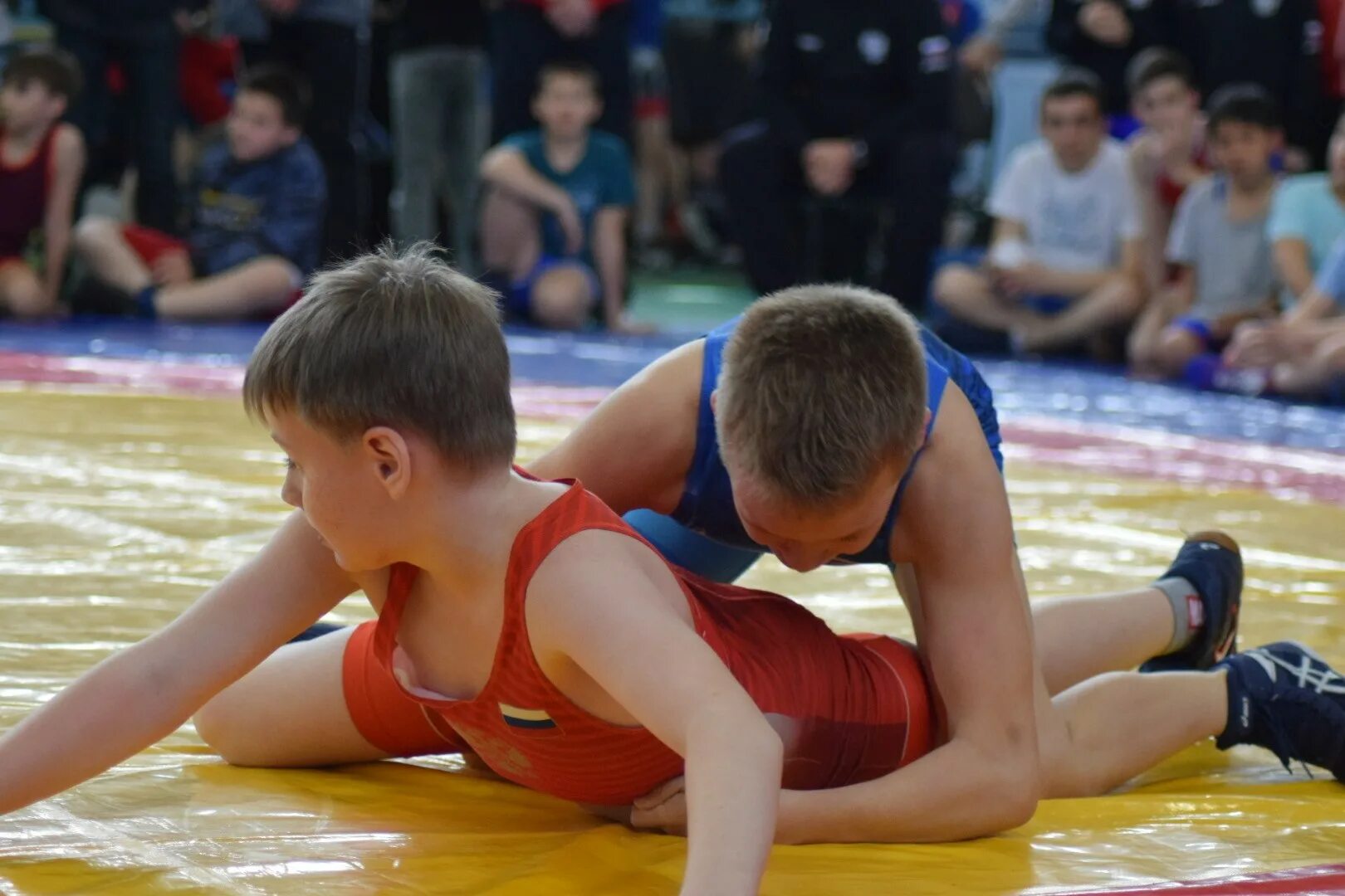 Роман барсегян греко римской борьбе 2016. Сфо греко римская борьба иркутск. Турнир по греко-римской борьбе в шадринске 24. Чемпионы россии по греко римской борьбе 2021. 2023 пфо по греко-римской борьбе до 24.