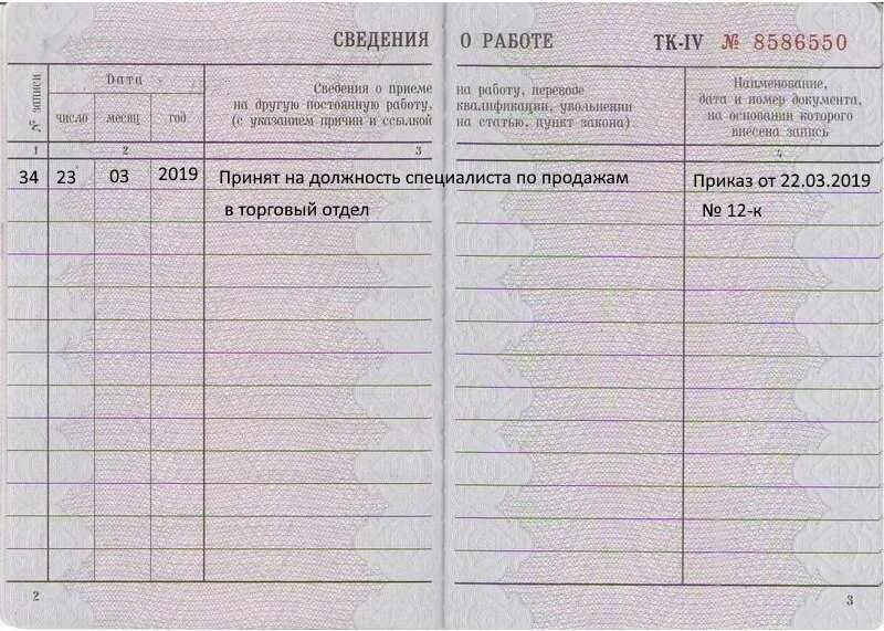 Если закончилась трудовая книжка что делать