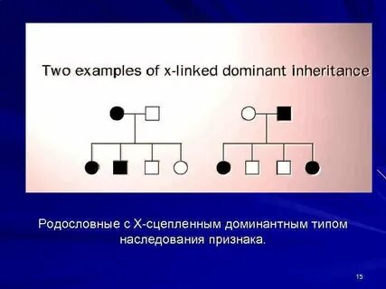 Приведите примеры наследования