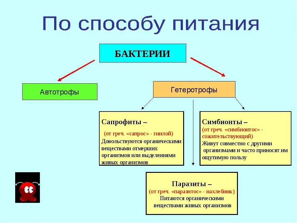 Какие организмы относятся к данной группе. Автотрофный и гетеротрофный Тип питания. Питание бактерий гетеротрофов схема. Тип питания автотрофный или гетеротрофный. Способы питания бактерий 9 класс биология.