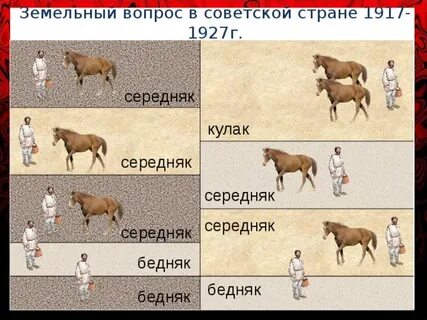 Середняки