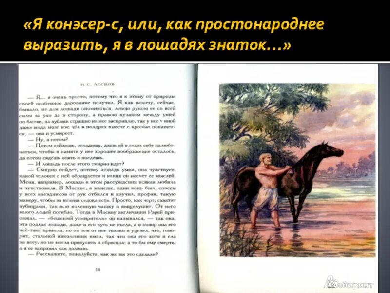 Очарованный странник читательский дневник краткое. Лошади в очарованном страннике. Как звали лошадь в очарованном страннике. Очарованный Странник лошади. Очарованный Странник и ЛОАШДЬ.