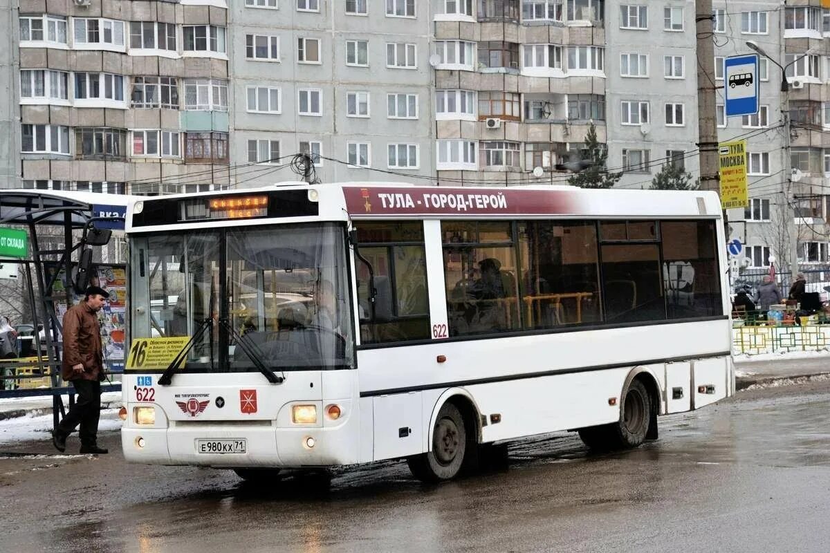 Сколько автобусов в туле