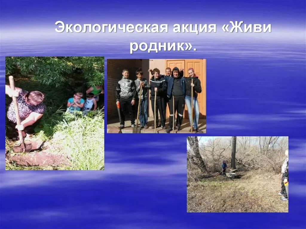 Приветствие для презентации. Живи родник презентация. Живи родник картинки. Экологические акции чистая вода. Текст для мероприятия акция чистый родник.