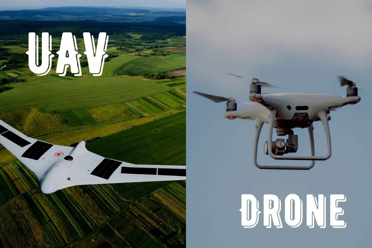 Drones текст. Обложки альбомов muse - 2015 - drones. Юмор борьба с беспилотниками. The murder - nico muhly. Виды летательных аппаратов.