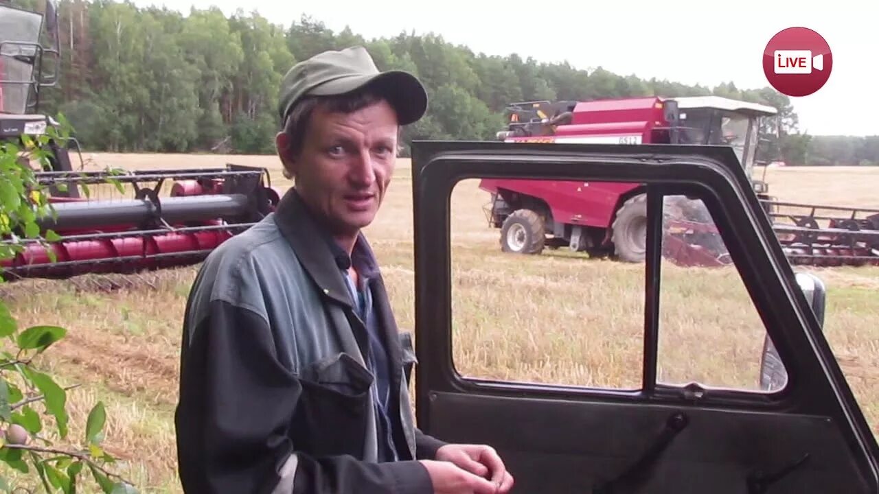 Хорнзоры вурнарского района колхоз схпк. Колхоз банкрот. Мтз-80 трактор. Мтз 80 хлам. Загибающееся село.