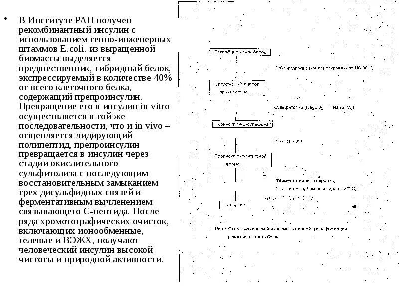 Технологическая схема получения инсулина. Стадии получения рекомбинантного инсулина. Получение синтетического инсулина технологическая схема. Технологическая схема производства инсулина. Установите последовательность этапов получения инсулина