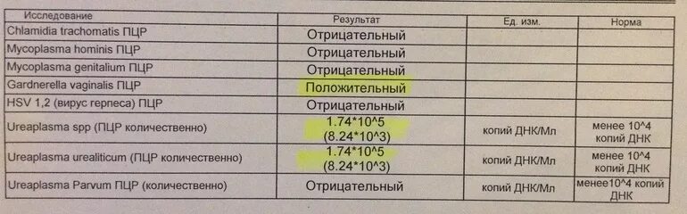 Микоплазма половым путем