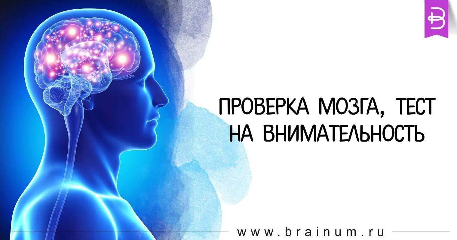 Тесты для мозга в картинках. Сила мозга. Тест на мозг. Тесты для мозга и памяти