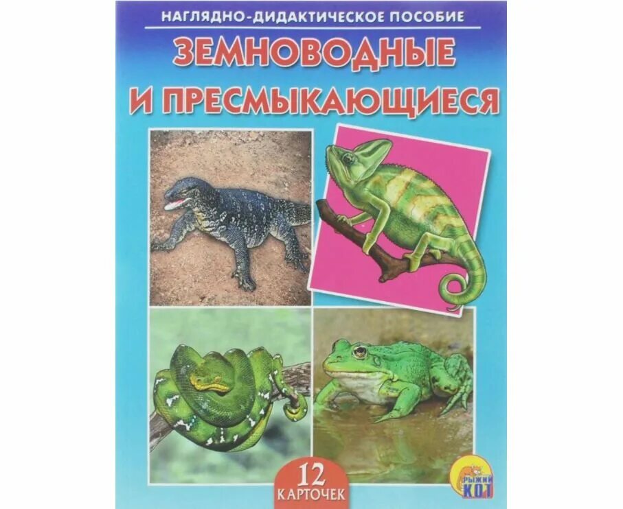 Пресмыкающиеся подготовительной группе. Наглядно-дидактическое пособие рептилии и амфибии. Обучающие карточки земноводные и пресмыкающиеся. Карточки рептилий и пресмыкающиеся. Карточки амфибии и рептилии.