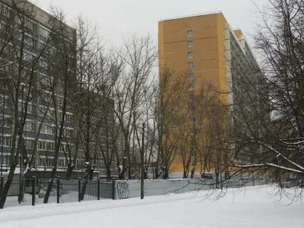Студенческий городок в санкт петербурге