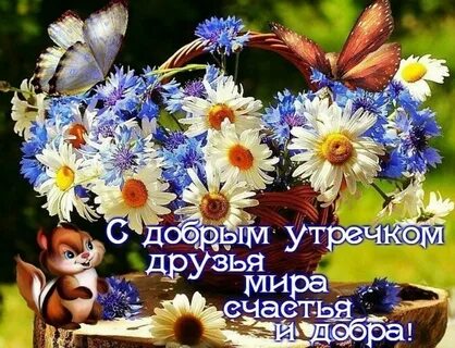Доброго утра счастливого дня картинки с пожеланиями