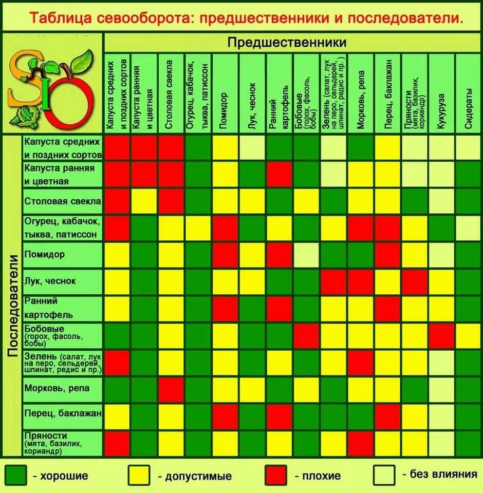 Что можно посадить на место