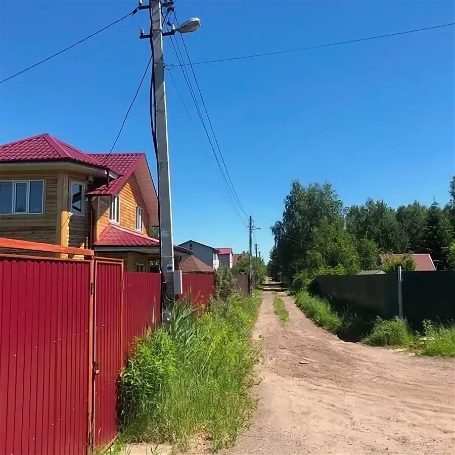Снт чайка купавна. Участок снт чайка. Участок снт чайка. Снт чайка грузино. Большое буньково московская область.