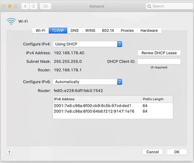 Dhcp mac