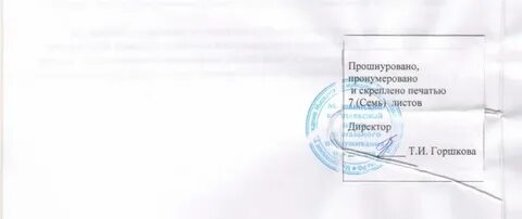 Прошнуровано и пронумеровано образец