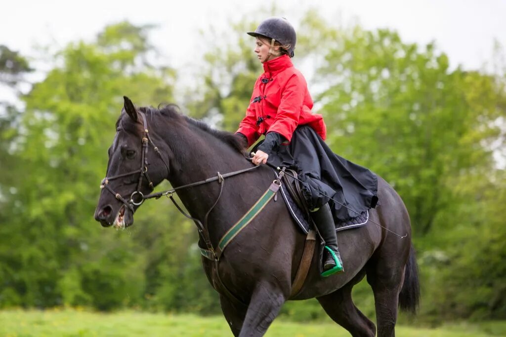 Шлем для выездки. Emma johnson - er tassinaro. Emma johnson - er tassinaro. Scooter emma. Love diana horse set feature.