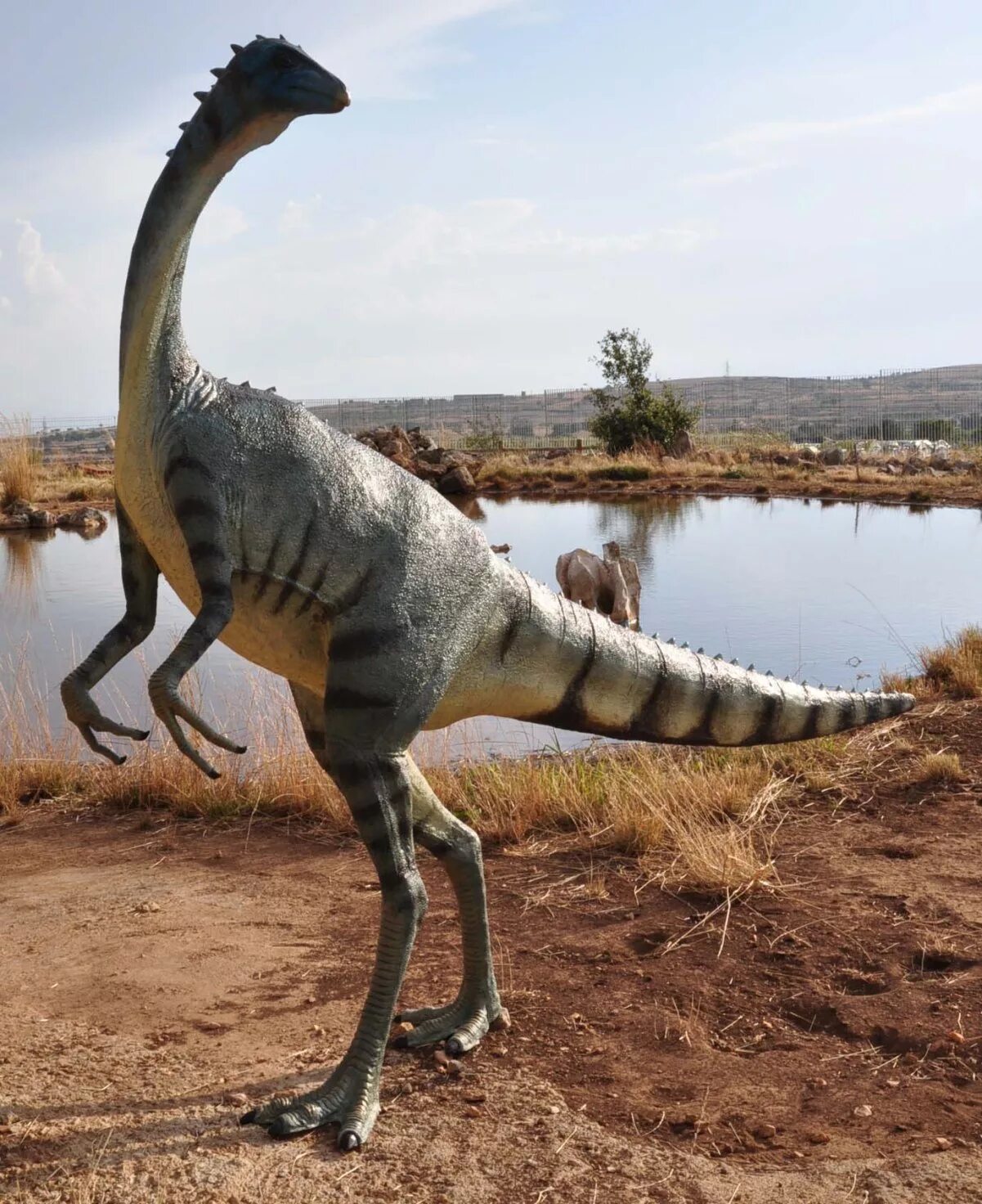 Галлимим динозавр. Орнитомимус динозавр. Орнитомим динозавр. Галлимим парк юрского периода. Самого быстрого динозавра.