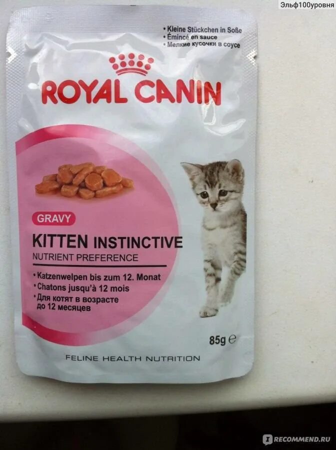 Какой корм давать сфинксу. Корм для котят. кошачий корм для котят. сухие корма для котят. корм для кошек сухой натуральный.
