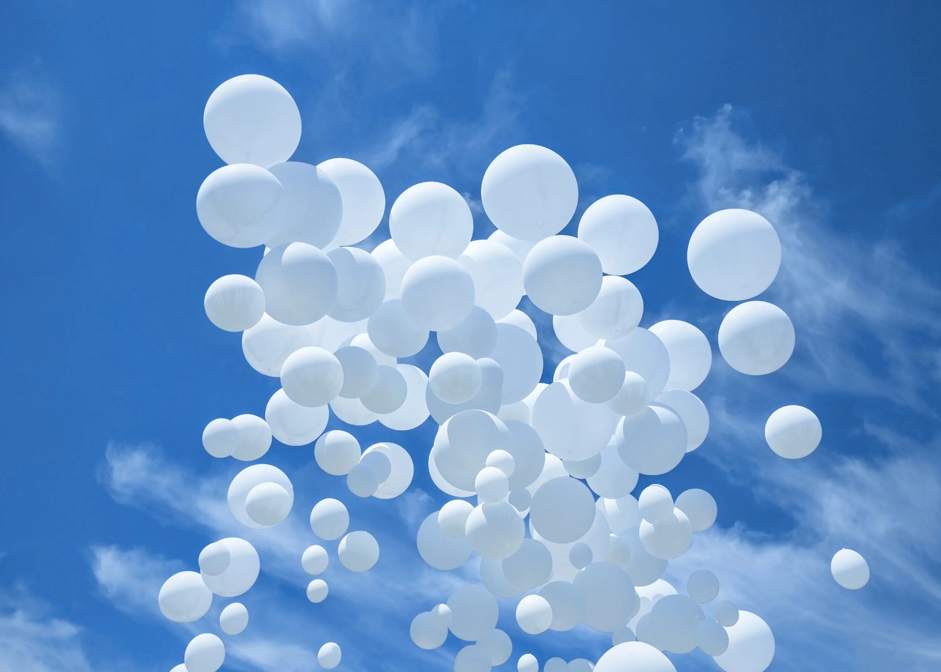 Выпустили в небо шары. Шары в небе. Воздушные шарики в небе. Белые шары. Белые шары воздушные в небе.