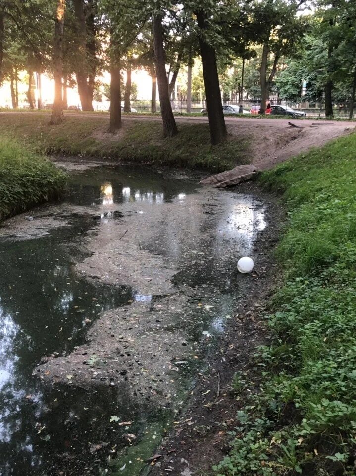 Гибнущий сад и несостоявшаяся даже. Таврический сад пруд. пруд в таврическом саду. пруд в кремлевском саду загрязнен. гниющий пруд.