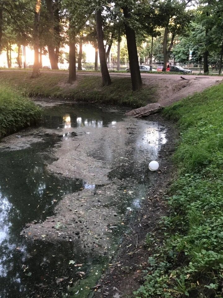 Гибнущий сад. Таврический сад пруд. Пруд в Таврическом саду. Пруд в Кремлевском саду загрязнен. Гниющий пруд.