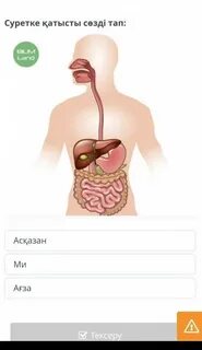 Сөзді тап