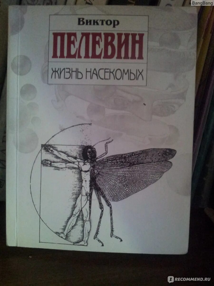 Пелевин читать жизнь. Жизнь насекомых книга. Пелевин в. "жизнь насекомых". Жизнь насекомых Пелевин иллюстрации.