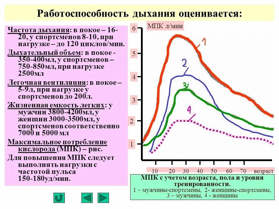 Дыхание л мин. Показатель максимального потребления кислорода. Частота дыхания в покое. Максимальное потребление кислорода при физической нагрузке. Оценка работоспособности по МПК.