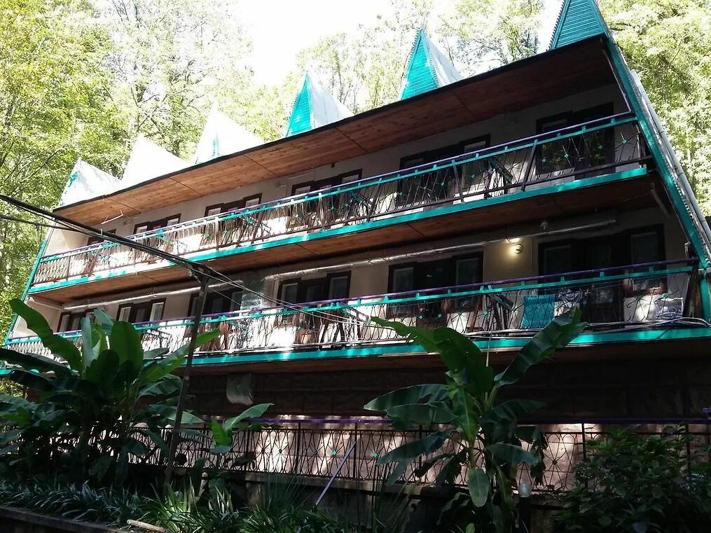 Газон 0,3кг южный изумруд (гавриш). Гостиница изумруд джубга. Изумруд южный. Трава газонная семена гавриш. Газон южный изумруд 0,6 гавриш.