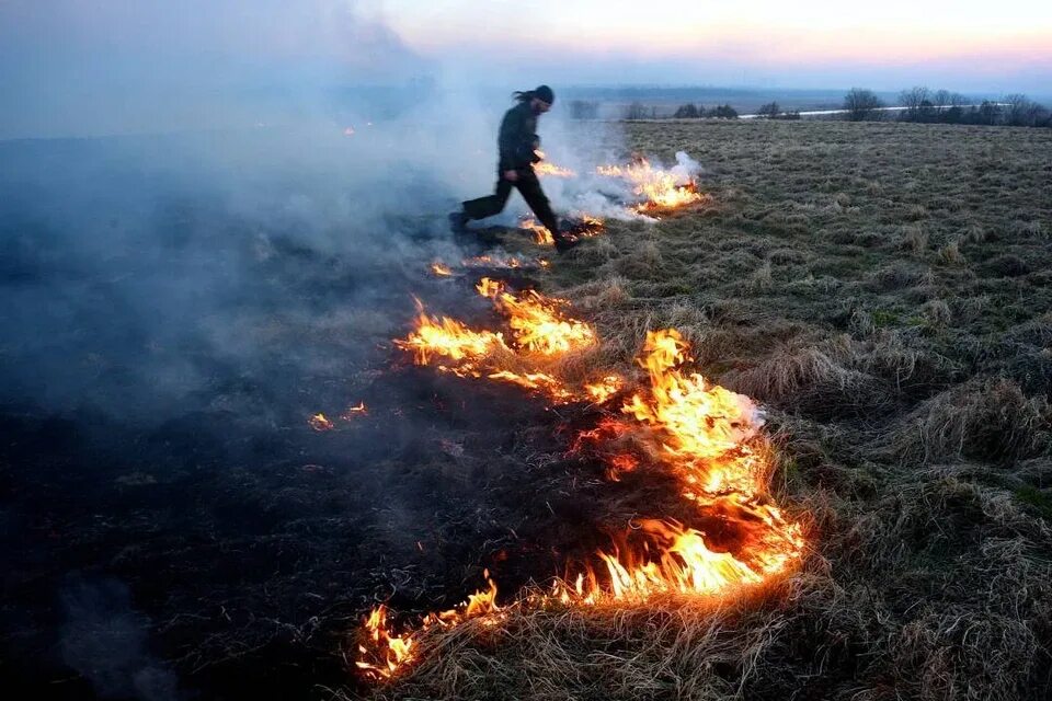 Горят впереди. Природные пожары. Горящее поле. Поле в огне. Большой костер.