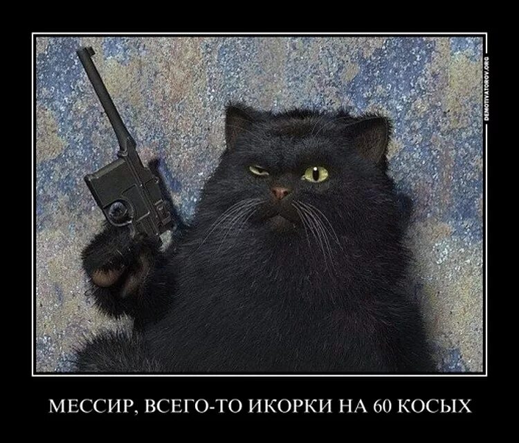 Сижу никого не трогаю починяю примус. Сижу примус. Кот бегемот с примусом. Я просто починяю примус. Сижу примус.