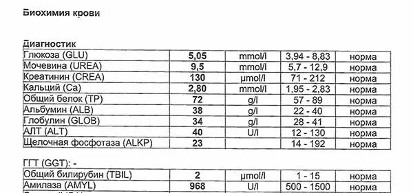 Алт аст глюкоза. Расшифровка биохимия анализа биохимии крови. Расшифровка анализов биохимический анализ крови. Биохимический анализ крови на латыни расшифровка. Расшифровка анализа крови биохимический с расшифровкой.