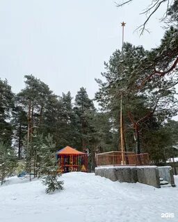 Алсма