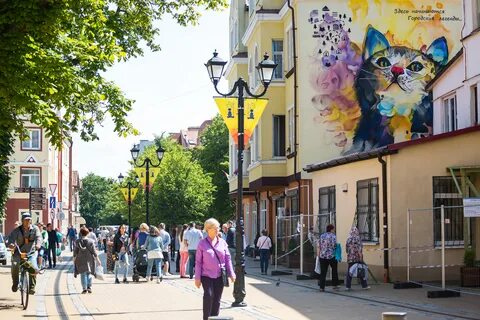 Зеленоградск коты